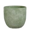 Supergreens Kaspo Tsimentenio Strongulo ''Jimmy'' Anoixto Prasino F17x16cm 5680-8