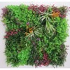 Supergreens Texniti Fullosia Moss me Stipa 100x100 ek. 5681-7