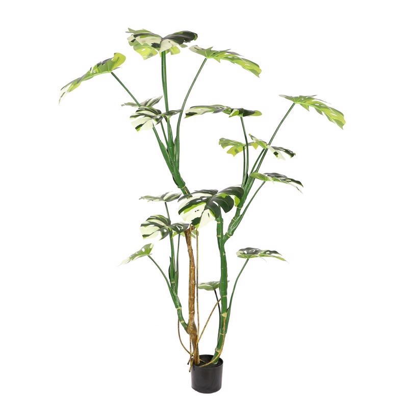 Supergreens Τεχνητό Δέντρο Μονστέρα ''Albo'' Πράσινο 160 εκ. 5701-6