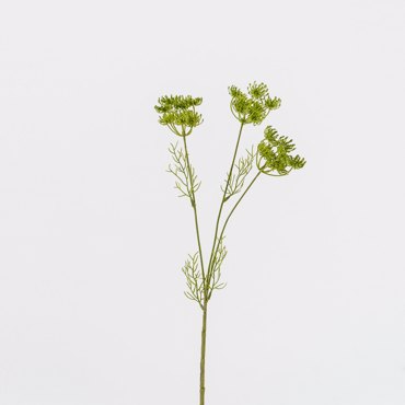 Supergreens Τεχνητό Κλωνάρι Δαύκος Πράσινος 52cm 5701-7