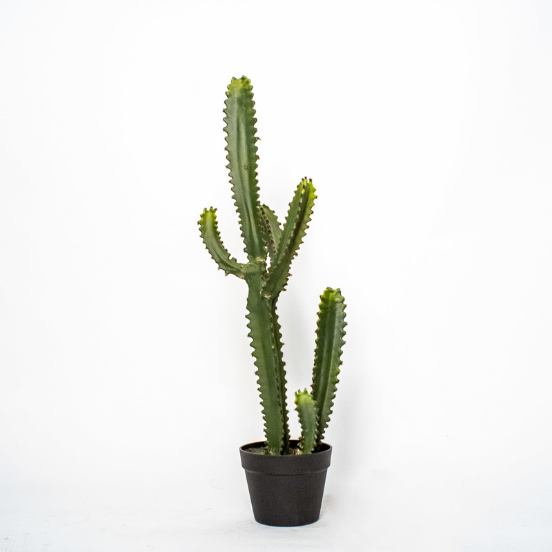 Supergreens Τεχνητό Φυτό Ευφόρμπια Mili 89cm σε Γλάστρα 5780-6