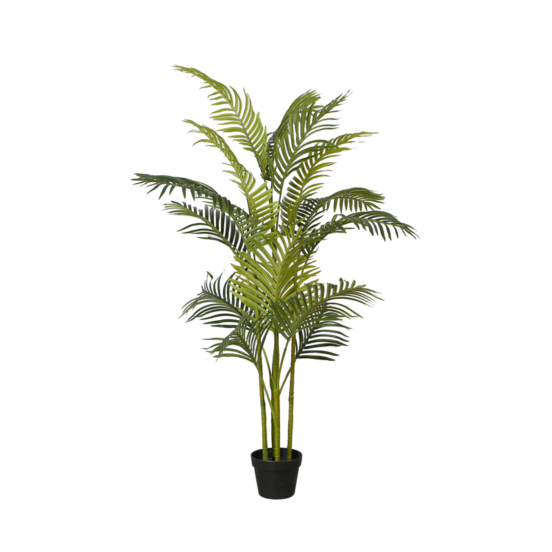 Γλάστρες - Ζαρντινιέρες agiovlasitishome - ΣΗΜΑΝΤΙΚΟ: Σε περίπτωση διαφοράς τιμής από το κατάστημα ισχύει παντα και μόνο η τιμή του καταστήματος Supergreens Τεχνητό Δέντρο Αρέκα ''Hawaii'' 160cm 6080-