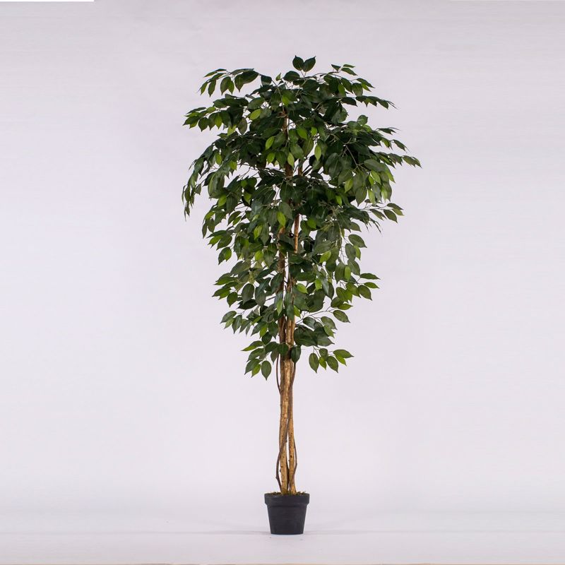 Supergreens Τεχνητό Δέντρο Φίκος ''Bengie'' 183cm 6140-6
