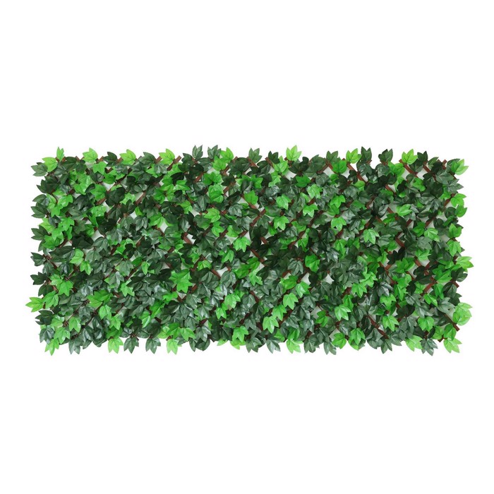 Supergreens Texniti Fullosia Ptussomeni Kissos ''Eden'' Prasini 100x200 ek. 6191-7