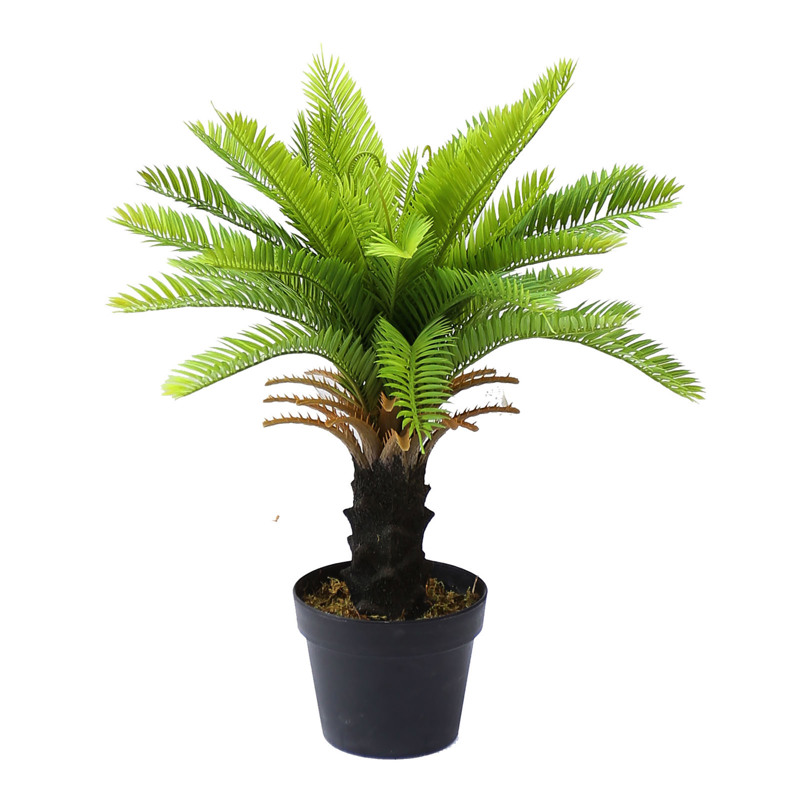 Supergreens Τεχνητό Φυτό Τσίκας Μίνι 60cm 6280-6