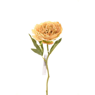 Supergreens Τεχνητό Κλωνάρι Παιώνια Μπεζ 34cm 6280-7