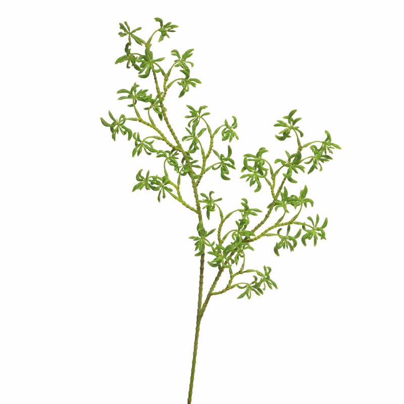 Supergreens - ΣΗΜΑΝΤΙΚΟ: Σε περίπτωση διαφοράς τιμής από το κατάστημα ισχύει παντα και μόνο η τιμή του καταστήματος Supergreens Τεχνητό Κλαδί Πράσινο 66cm 6541-7