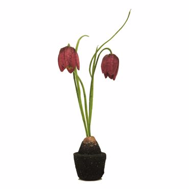 Supergreens Τεχνητό Φυτό Φριτιλαρία Κόκκινο 22cm 6570-6