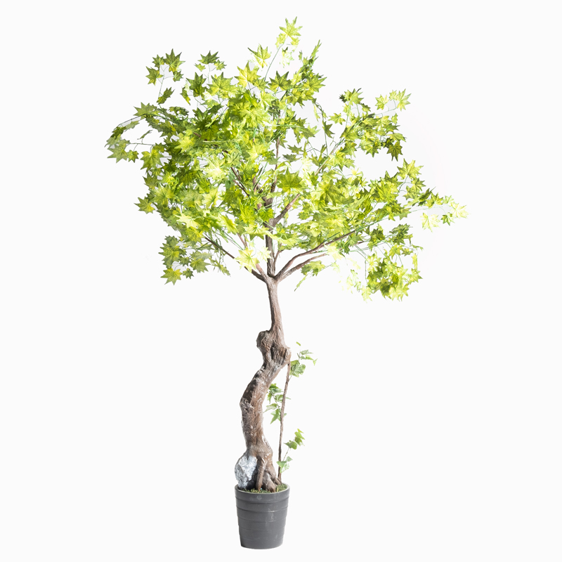 Supergreens - ΣΗΜΑΝΤΙΚΟ: Σε περίπτωση διαφοράς τιμής από το κατάστημα ισχύει παντα και μόνο η τιμή του καταστήματος Supergreens Τεχνητό Δέντρο Σφένδαμος 230cm 6650-6