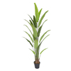 Supergreens Texnito Dentro Pouli tou Paradeisou Strelizia Nicolai 190cm 6760-6