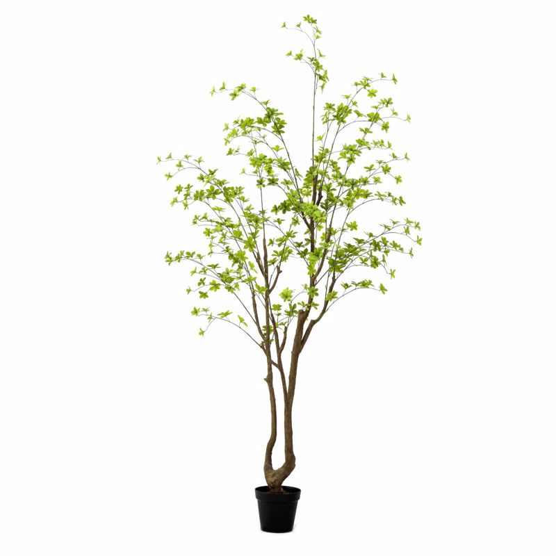 Supergreens Τεχνητό Δέντρο Φίκος Pumila Πράσινο 240cm 6