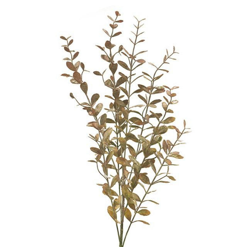 Supergreens Τεχνητό Κλωνάρι Κολούμνεα Καφέ 73cm 6790-7