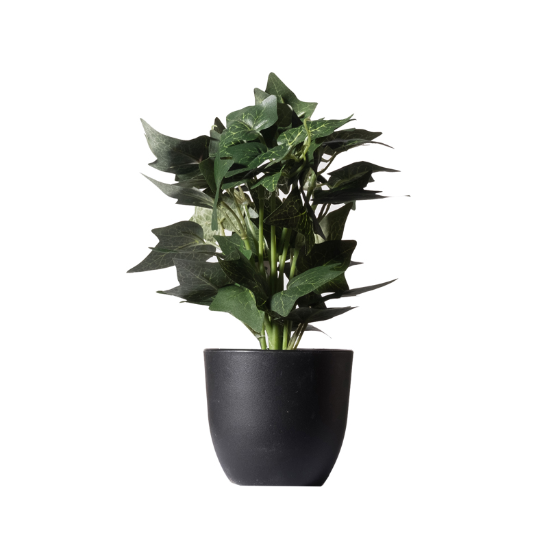 Supergreens Τεχνητό Φυτό Κισσός Silver 30cm 7060-6