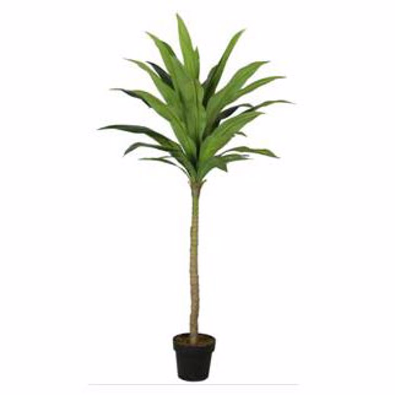 Supergreens Τεχνητό Δέντρο Δράκαινα 170cm 7130-6
