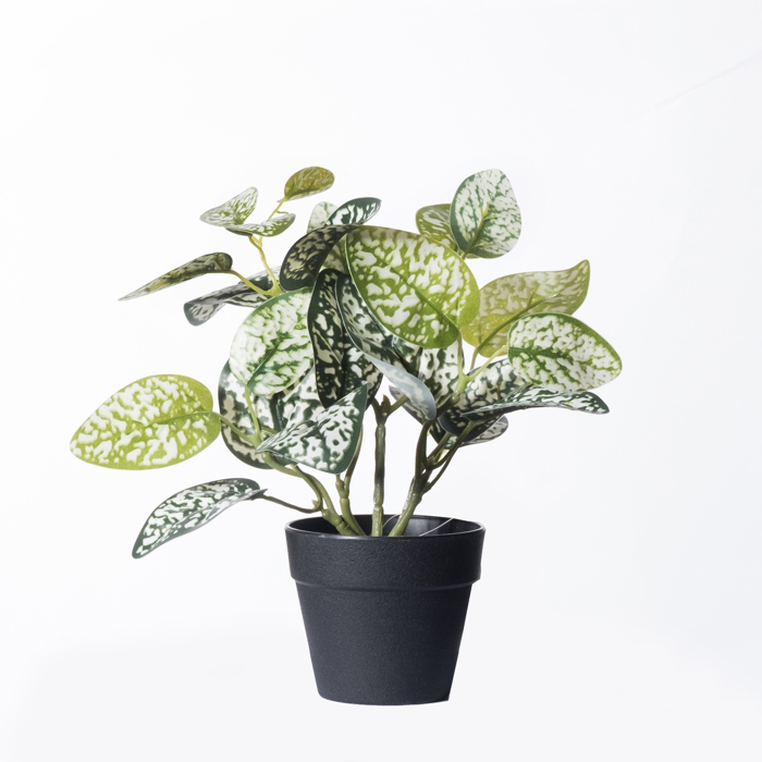 Supergreens Τεχνητό Φυτό Πόλκα 21cm 7160-6 Supergreens Texnito Futo Polka 21cm 7160-6
