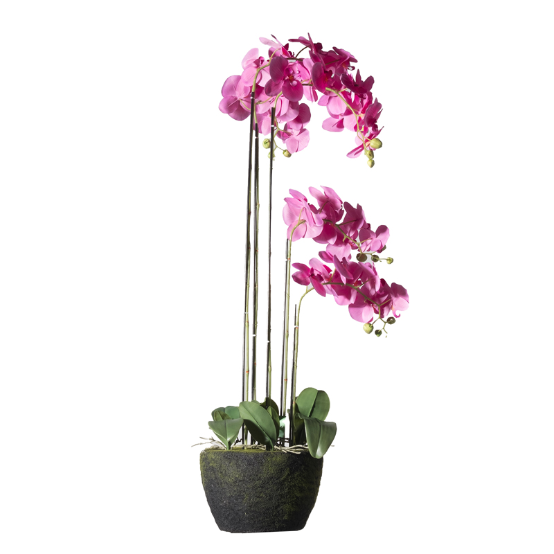 Supergreens Τεχνητό Φυτό Ορχιδέα Phalaenopsis Real Touc