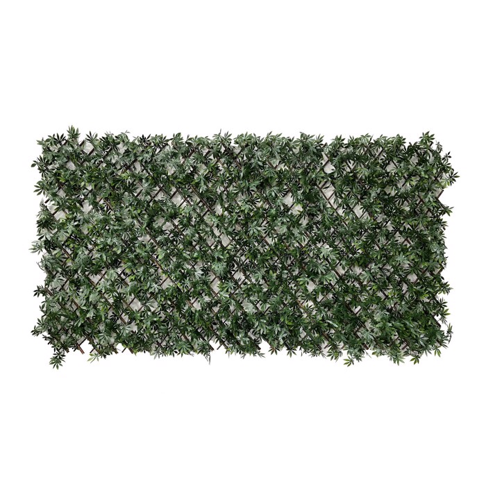 Supergreens Texniti Fullosia Ptussomeni Kissos Oxtafulli ''Follia'' Prasini 100x200 ek. 7191-7