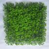 Supergreens Texniti Fullosia Moss ''Haircap'' Prasini 50x50cm 7281-7