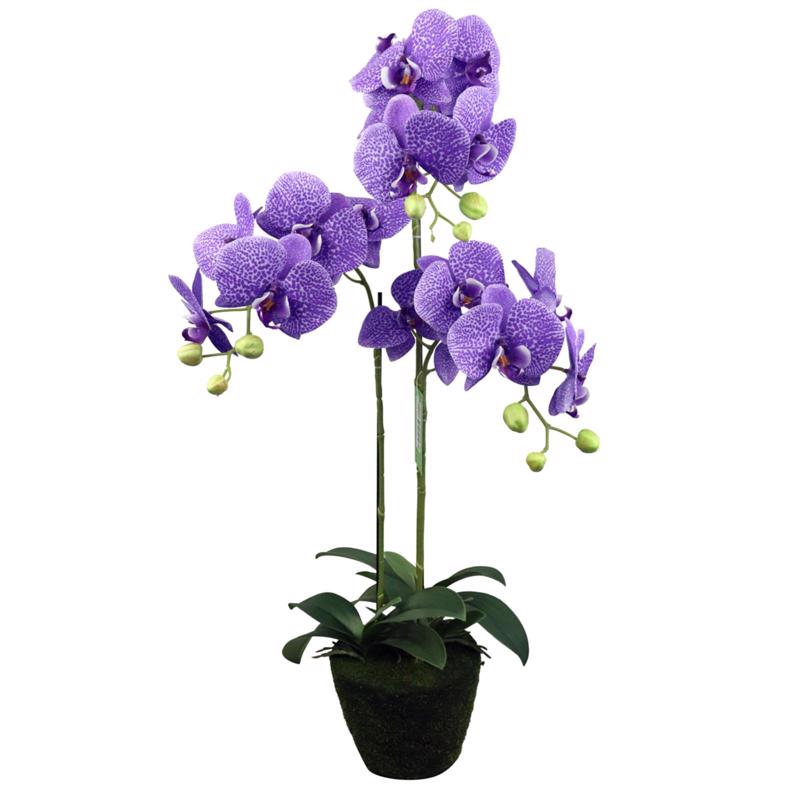 Supergreens Τεχνητό Φυτό Ορχιδέα Phalaenopsis Μωβ 80 εκ