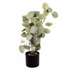 Supergreens Texnito Futo Paxira 43cm 7320-6