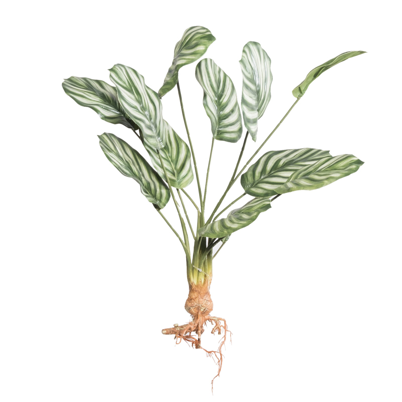 Supergreens - ΣΗΜΑΝΤΙΚΟ: Σε περίπτωση διαφοράς τιμής από το κατάστημα ισχύει παντα και μόνο η τιμή του καταστήματος Supergreens Τεχνητή Χωνευτή Καλαθέα Orbifolia 61cm 7431