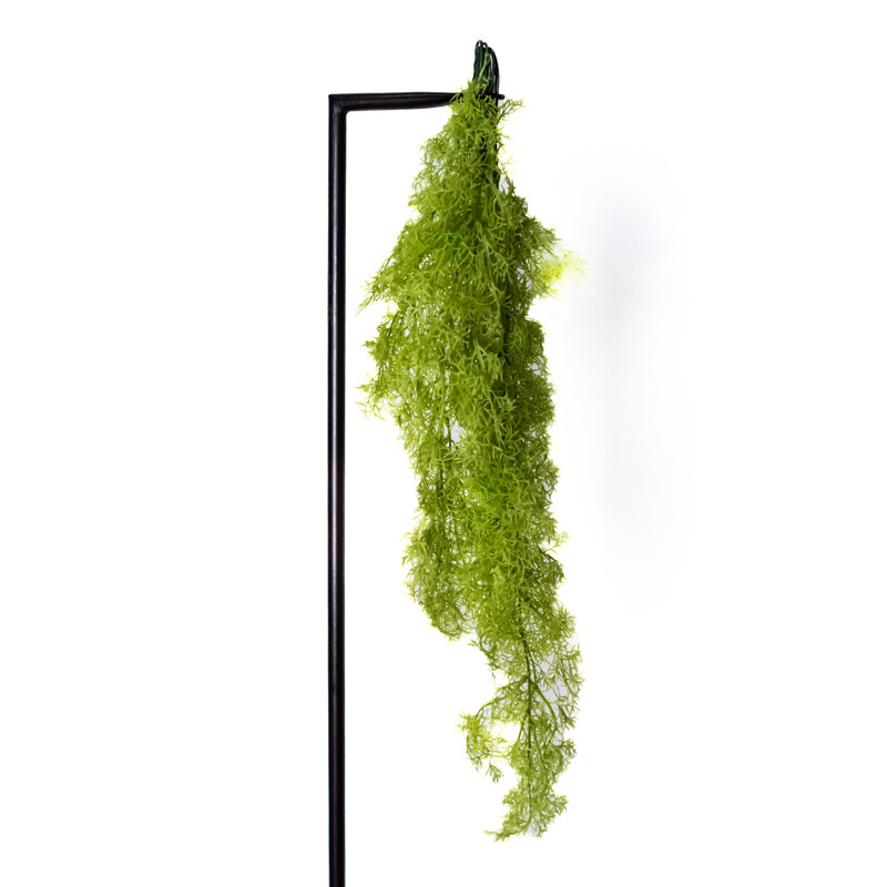 Supergreens - ΣΗΜΑΝΤΙΚΟ: Σε περίπτωση διαφοράς τιμής από το κατάστημα ισχύει παντα και μόνο η τιμή του καταστήματος Supergreens Τεχνητό Κρεμαστό Σπαράγγι Πράσινο Ανοιχτό 9