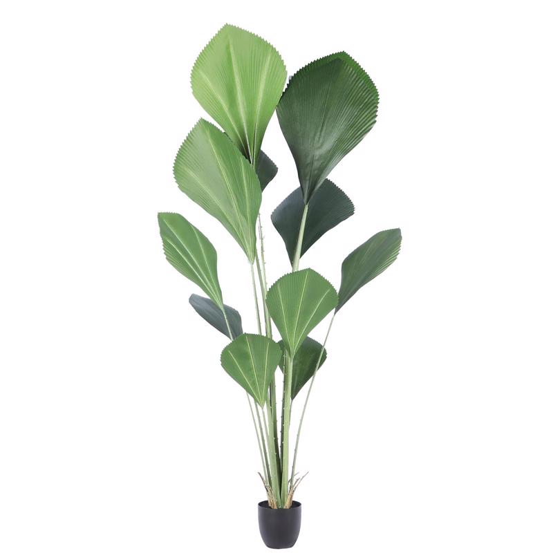 Γλάστρες - Ζαρντινιέρες agiovlasitishome - ΣΗΜΑΝΤΙΚΟ: Σε περίπτωση διαφοράς τιμής από το κατάστημα ισχύει παντα και μόνο η τιμή του καταστήματος Supergreens Τεχνητό Δέντρο Λικουάλα Πράσινο 210 εκ. 770