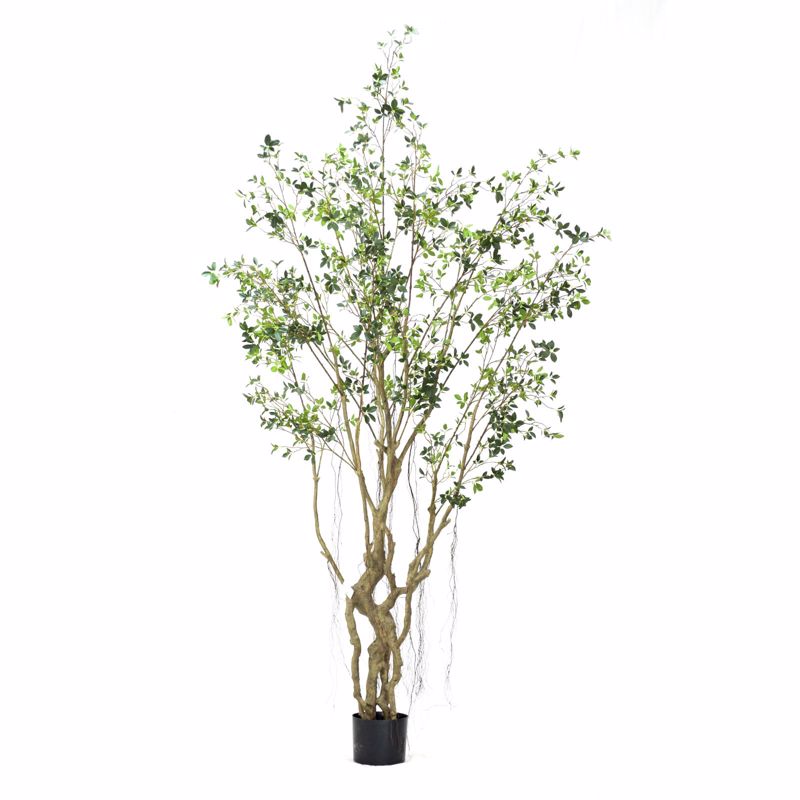 Γλάστρες - Ζαρντινιέρες agiovlasitishome - ΣΗΜΑΝΤΙΚΟ: Σε περίπτωση διαφοράς τιμής από το κατάστημα ισχύει παντα και μόνο η τιμή του καταστήματος Supergreens Τεχνητό Δέντρο Φίκος Microcarpa Πράσινο 300