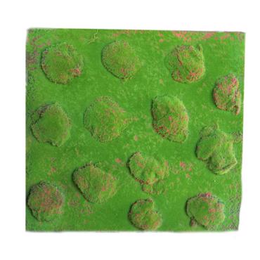 Supergreens Τεχνητή Φυλλωσιά Moss ''Pebble'' Πράσινη 100x100cm 7971-7