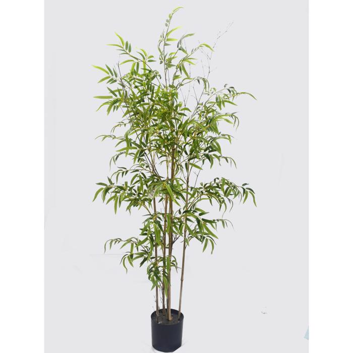 Supergreens Texnito Dentro Fikos ''Ginseng'' Prasino 150 ek. 7990-6