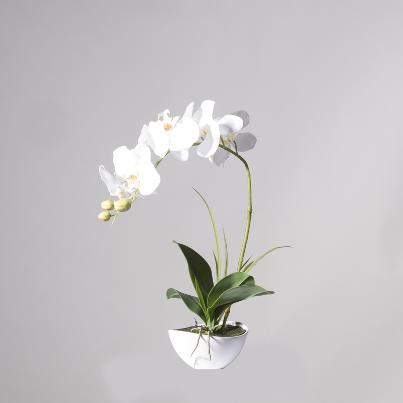 Supergreens Τεχνητό Φυτό Ορχιδέα Phalaenopsis Real Touc