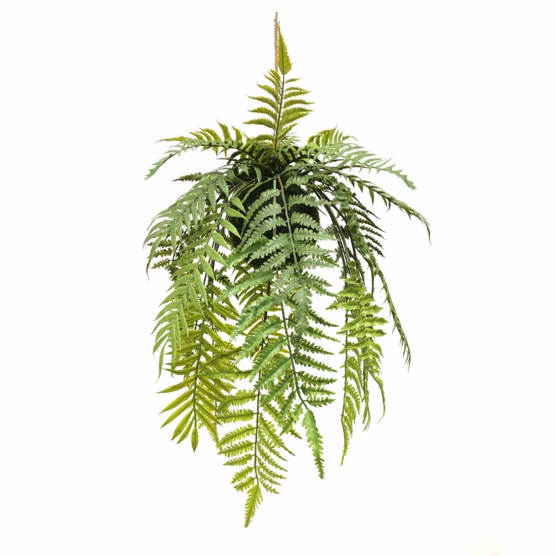 Γλάστρες - Ζαρντινιέρες agiovlasitishome - ΣΗΜΑΝΤΙΚΟ: Σε περίπτωση διαφοράς τιμής από το κατάστημα ισχύει παντα και μόνο η τιμή του καταστήματος Supergreens Τεχνητή Κρεμαστή Ρίζα Φτέρη ''Dryopteris''