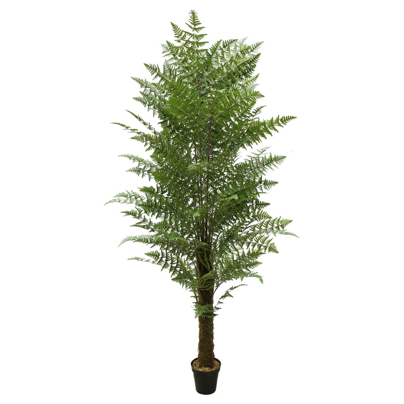 Γλάστρες - Ζαρντινιέρες agiovlasitishome - ΣΗΜΑΝΤΙΚΟ: Σε περίπτωση διαφοράς τιμής από το κατάστημα ισχύει παντα και μόνο η τιμή του καταστήματος Supergreens Τεχνητό Δέντρο Αρέκα ''Phoenix'' 260cm 8280