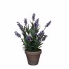 Supergreens Texnito Futo Lebanta Mob F20x33cm 8290-6