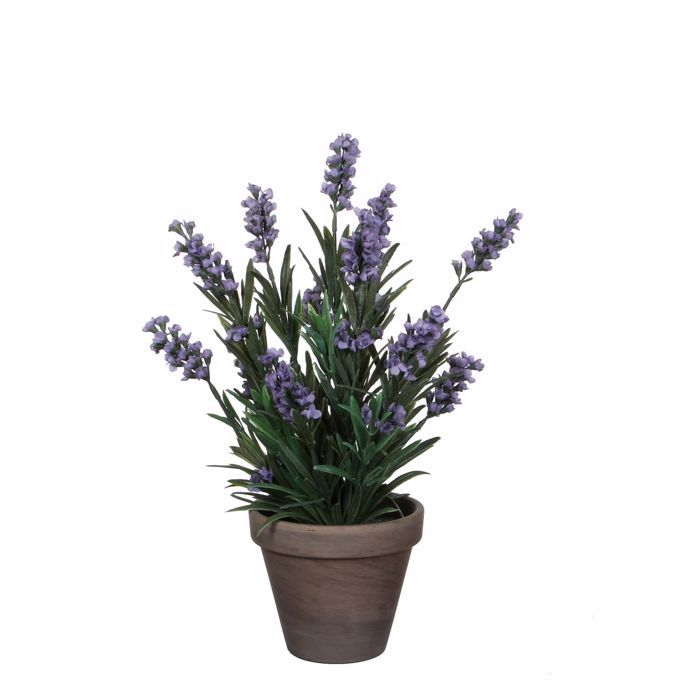 Supergreens Texnito Futo Lebanta Mob F20x33cm 8290-6