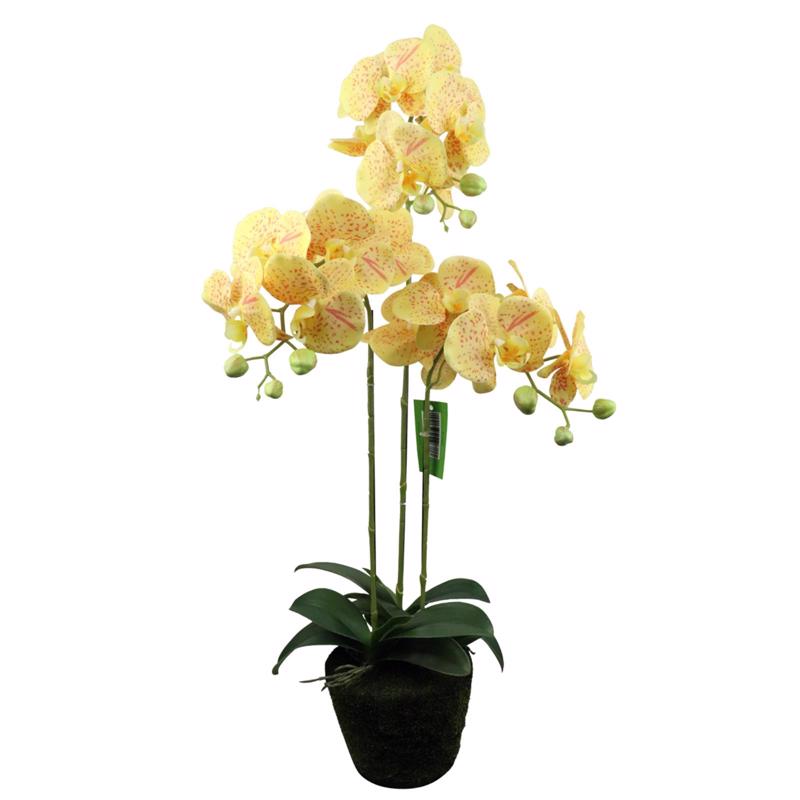 Γλάστρες - Ζαρντινιέρες agiovlasitishome - ΣΗΜΑΝΤΙΚΟ: Σε περίπτωση διαφοράς τιμής από το κατάστημα ισχύει παντα και μόνο η τιμή του καταστήματος Supergreens Τεχνητό Φυτό Ορχιδέα Phalaenopsis Κίτρινο 8