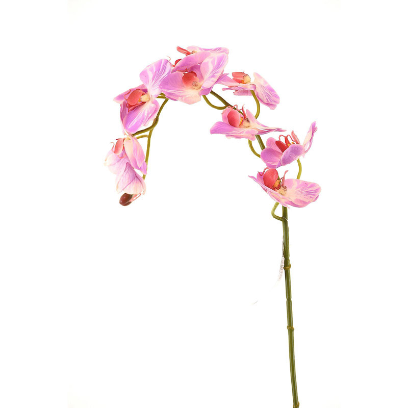 Supergreens Τεχνητό Κλωνάρι Ορχιδέα Φούξια 75cm 8380-7