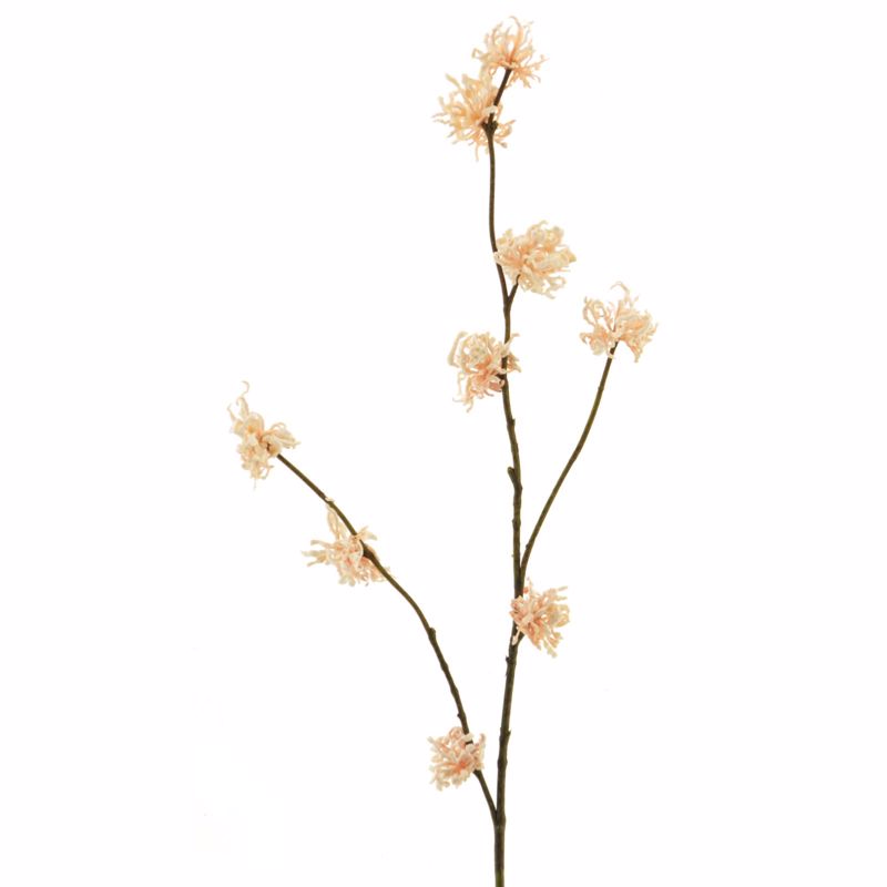 Supergreens Τεχνητό Κλαδί Αμαμηλίς Μπεζ 79cm 8441-7