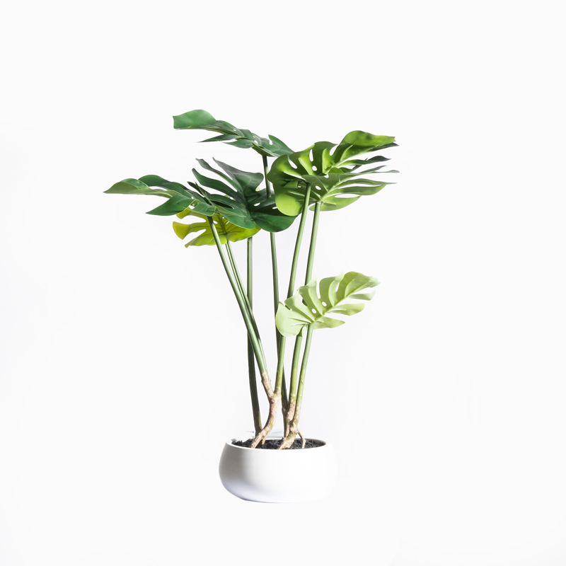 Supergreens Τεχνητό Φυτό Μονστέρα 65cm 8550-6