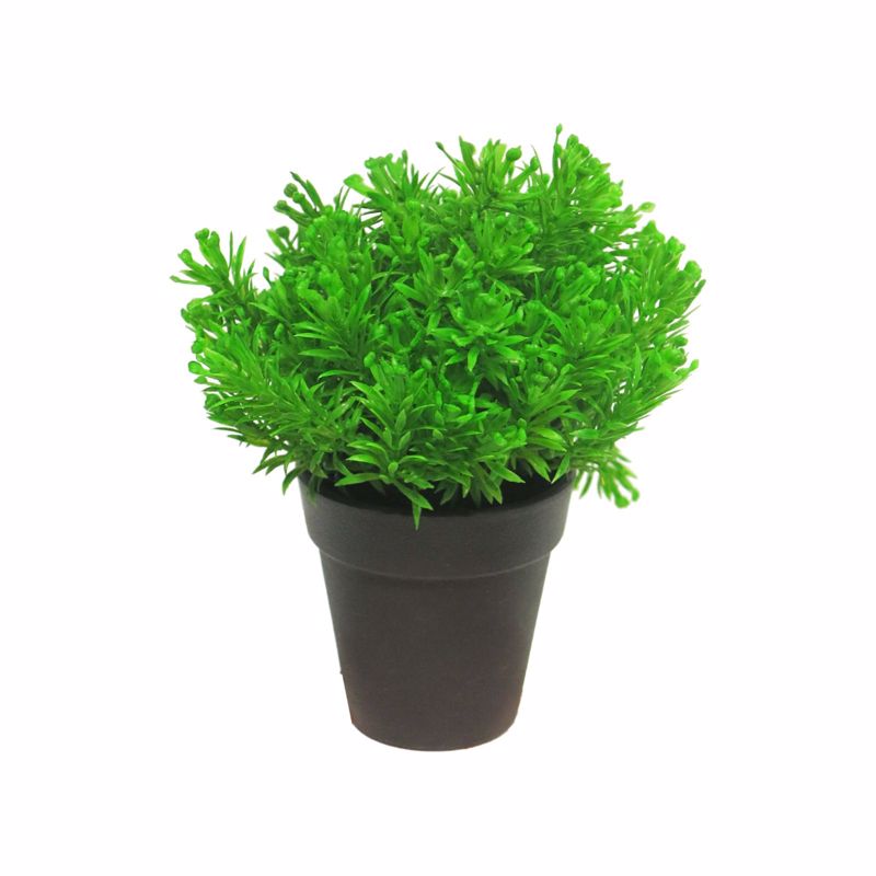 Γλάστρες - Ζαρντινιέρες agiovlasitishome - ΣΗΜΑΝΤΙΚΟ: Σε περίπτωση διαφοράς τιμής από το κατάστημα ισχύει παντα και μόνο η τιμή του καταστήματος Supergreens Τεχνητό Φυτό Αρωματικό 20cm 8650-6