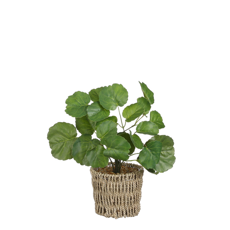 Γλάστρες - Ζαρντινιέρες agiovlasitishome - ΣΗΜΑΝΤΙΚΟ: Σε περίπτωση διαφοράς τιμής από το κατάστημα ισχύει παντα και μόνο η τιμή του καταστήματος Supergreens Τεχνητό Φυτό Γεράνι 33cm 8670-6