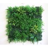 Supergreens Texniti Fullosia Fteri me Tamarisk Moss 100x100 ek. 8681-7