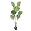Supergreens Texnito Dentro Likouala Prasino 160 ek. 8701-6