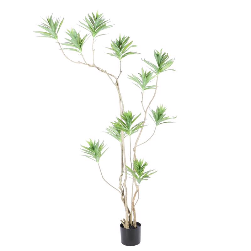 Γλάστρες - Ζαρντινιέρες agiovlasitishome - ΣΗΜΑΝΤΙΚΟ: Σε περίπτωση διαφοράς τιμής από το κατάστημα ισχύει παντα και μόνο η τιμή του καταστήματος Supergreens Τεχνητό Δέντρο Δράκαινα Πράσινο 180 εκ. 880