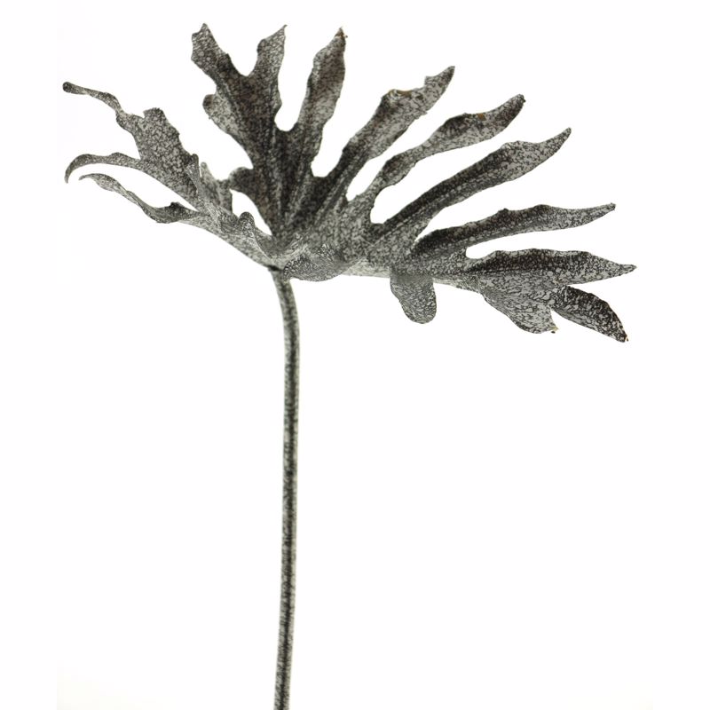 Γλάστρες - Ζαρντινιέρες agiovlasitishome - ΣΗΜΑΝΤΙΚΟ: Σε περίπτωση διαφοράς τιμής από το κατάστημα ισχύει παντα και μόνο η τιμή του καταστήματος Supergreens Τεχνητό Φύλλο Φιλόδεντρο Ασημί 73cm 8941-7