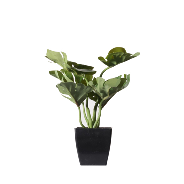 Supergreens Τεχνητό Φυτό Μονστέρα Deliciosa σε Γλάστρα 24cm 9060-6