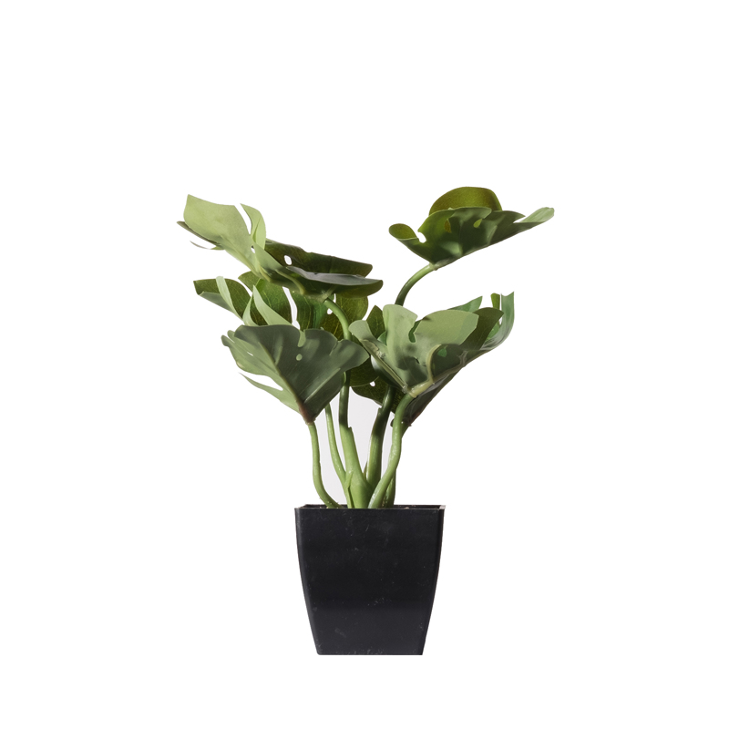 Γλάστρες - Ζαρντινιέρες agiovlasitishome - ΣΗΜΑΝΤΙΚΟ: Σε περίπτωση διαφοράς τιμής από το κατάστημα ισχύει παντα και μόνο η τιμή του καταστήματος Supergreens Τεχνητό Φυτό Μονστέρα Deliciosa σε Γλάστρα