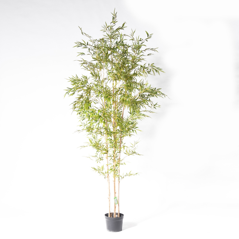 Γλάστρες - Ζαρντινιέρες agiovlasitishome - ΣΗΜΑΝΤΙΚΟ: Σε περίπτωση διαφοράς τιμής από το κατάστημα ισχύει παντα και μόνο η τιμή του καταστήματος Supergreens Τεχνητό Δέντρο Μπαμπού Lucky 250cm 9090-6