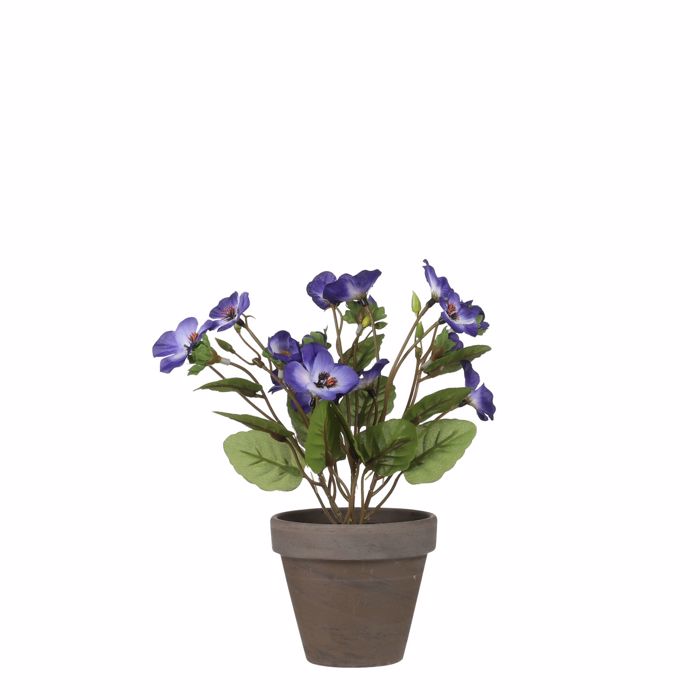 Supergreens Texnito Futo Panses Mob 19cm 9190-6