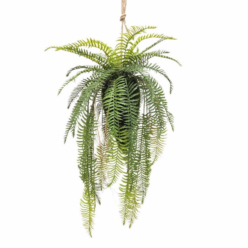 Γλάστρες - Ζαρντινιέρες agiovlasitishome - ΣΗΜΑΝΤΙΚΟ: Σε περίπτωση διαφοράς τιμής από το κατάστημα ισχύει παντα και μόνο η τιμή του καταστήματος Supergreens Τεχνητή Κρεμαστή Ρίζα Φτέρη ''Boston'' Πράσ